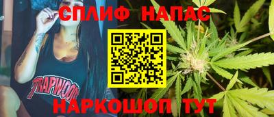 прущие грибы Михайловск